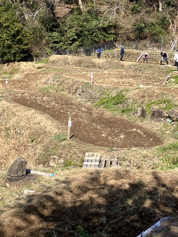 今年もここに来ました。玉置事務所「たまたま農園」の棚田。