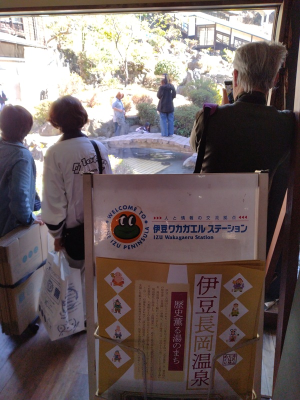 伊豆ワカガエルステーション、懐かしいです。