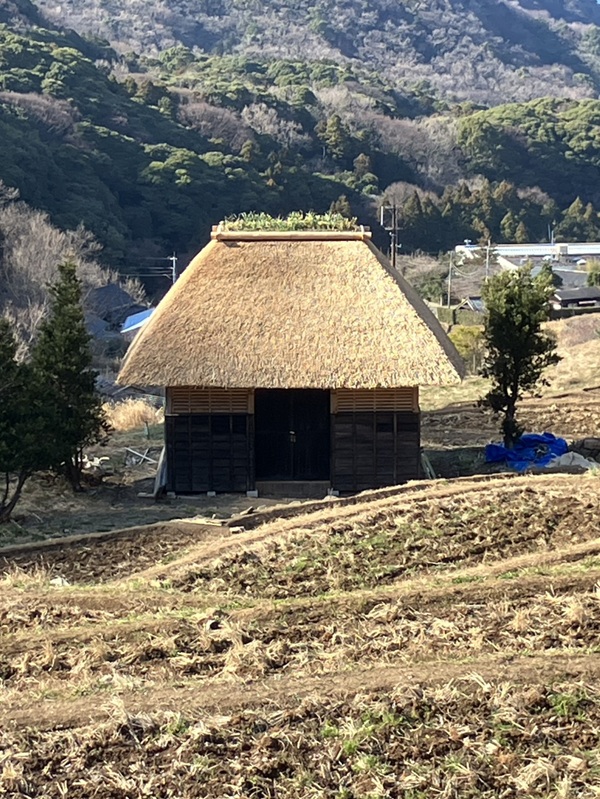 茅葺小屋が完成してましたよ。